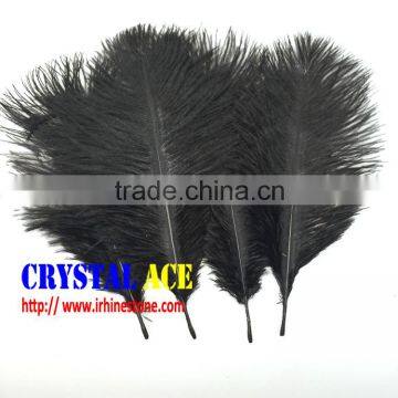 15-75cm Carnival Ostrich feathers for costumes