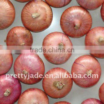 Supply cheap chinese Fresh Red Onion