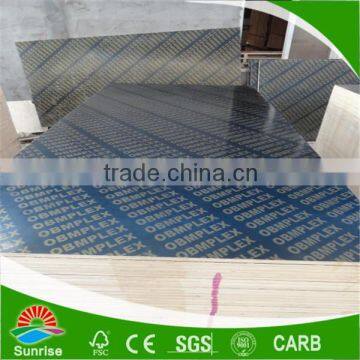 Film faced plywood/Shuttering plywood/Construction plywood