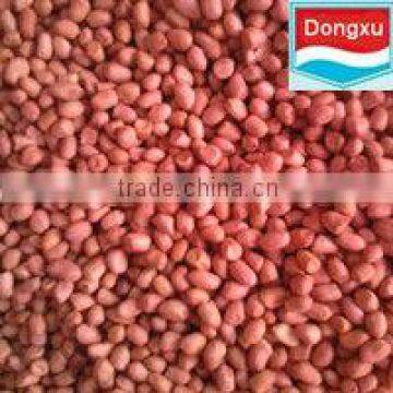 chinese red skin peanut kernel