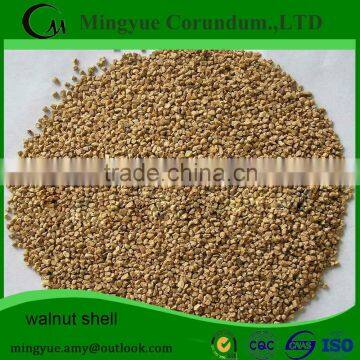 bulk competitive price walnut kernel ukraine walnut walnut shell