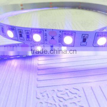 Colorful UV led strip 5050 5 meters per roll with 2 years warranty