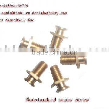 solid brass bolt