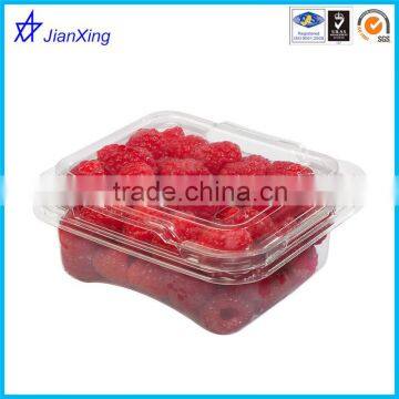 Plastic Blueberry Packing Box Clear Plastic Vegetable Box Grapes Packing Boxes