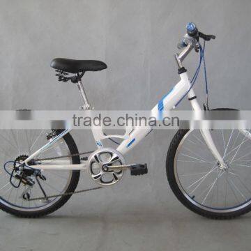 22 Inch Steel Mountain Bike 7 Speed