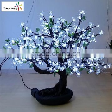 Hot sale mini cherry blossom tree cheap cherry blossom bonsai tree with high quality bonsai tree sale