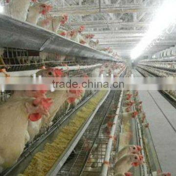 Xinri poultry house design for layers in kenya farm