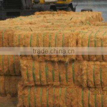 Coconut Fiber 2016 _ QQ : 2598494113 photo-4