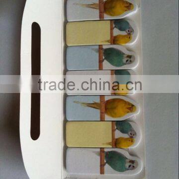 Lovely bird custom printed notepad
