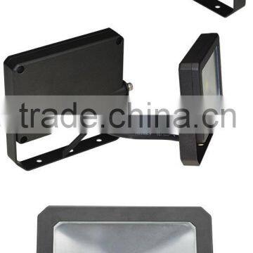 LED! COB1*10w High Led Star Light Outdoor Flood Light Outdoor Christmas Flood Lighting
