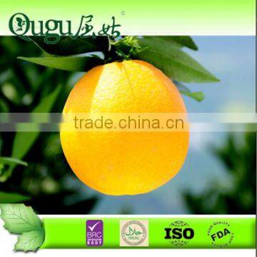 2014 Fresh Navel Orange Suppliers Wholesale