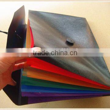 2015 PVC decorative expanding file folders