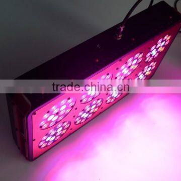 2013 best apollo 8 Led hydroponics grow lights 3w 120pcs*3W for growing plants/Hydroponics alibaba made in China