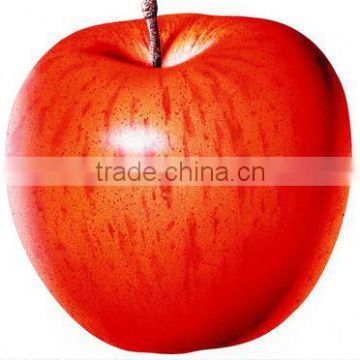 home decoration artificial plant apple