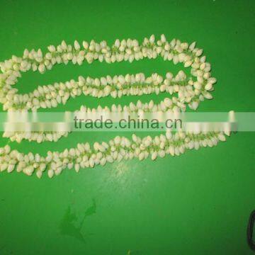 Fresh Jasmine Flower Exporter for / Importers in Malaysia / Singapore / Dubai / Canada / USA/ Uk / France / Germany