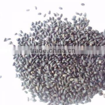 TUKAMARIA/BASIL SEEDS photo-2