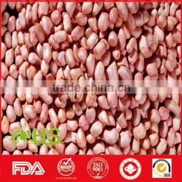 Peanut Kernel in Red Shell for Wholesale photo-6