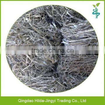 High quality 2015 hot sale kelp seaweed