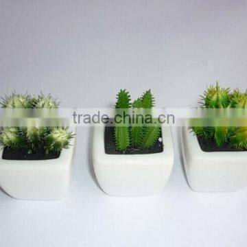 Mini Artificial Cactus With Pot for Indoor Decoration photo-3