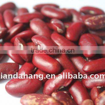 Dark Red Kidney Beans