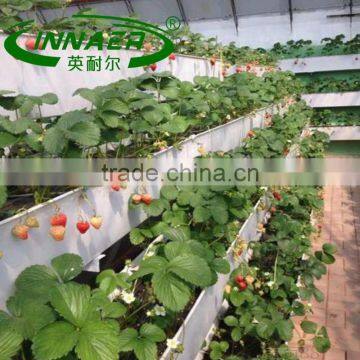 Growth in agricultural products for eggplant planting groove