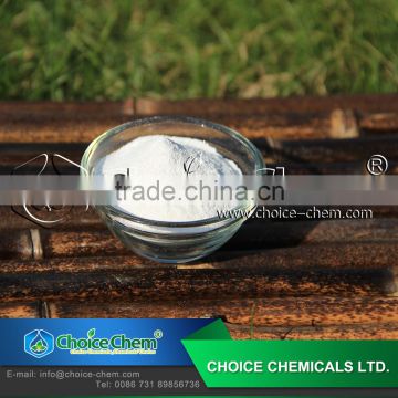 food grade powder L-Glutamic Acid 98%