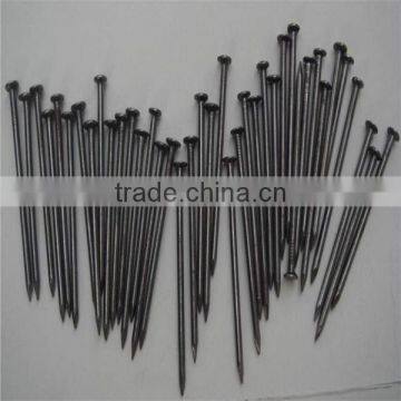 High Quality Polished Iron Common Nails for Building photo-6
