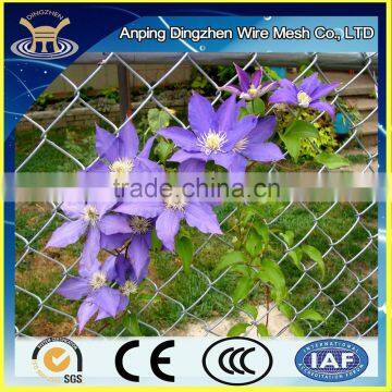 Plants and Flower Climbing fence/ Garden Chain link fence/Welded mesh trellis