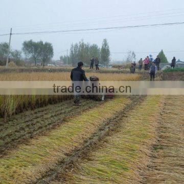 Multifunctional Mini Reaper Head in Harvesters photo-6