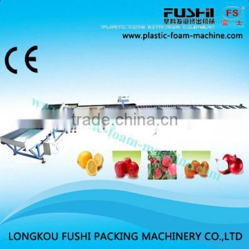 Good Quality Electronic Fruit Sorting Machine