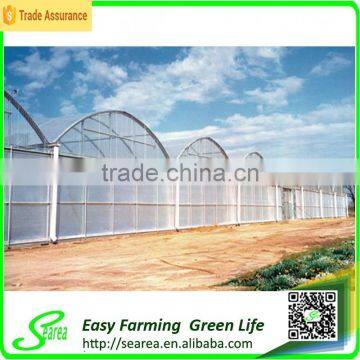Gutter Height Commercial Polycarbonate Greenhouse for Used photo-4