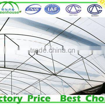 Multi Span Agricultural Type Poly Film Commercial Greenhouse photo-3