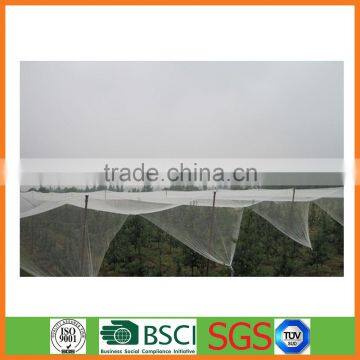 Agriculture Plantation Protection Anti Hail Net photo-4