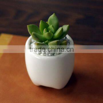Zakka Indoor Mini Tooth-shaped Ceramic White Flower Pot for Succulents photo-3