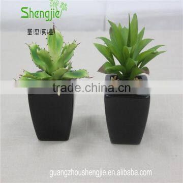 SJLJ013384 Artificial Plant / Fake Plastic Succulent Plant for Office / Restaurant Decoration photo-6