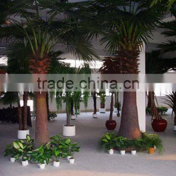 Outdoor Artificial Date Palm Tree High Quality Ornamental Palm Tree Decorative Plam Trees photo-6