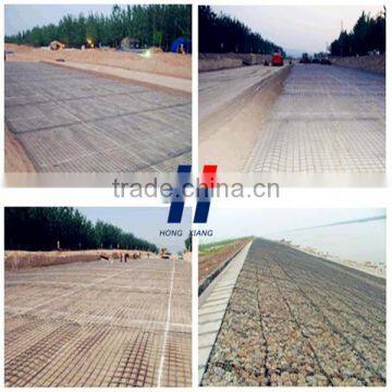 Road Engineering Biaxial Warp Knitted Polyester Geogrid photo-5
