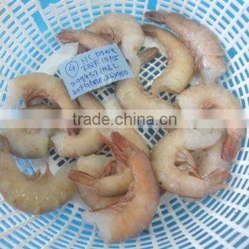 Sea Pink Shrimps