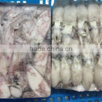 Block Frozen Baby Squid 500g/1kg photo-4