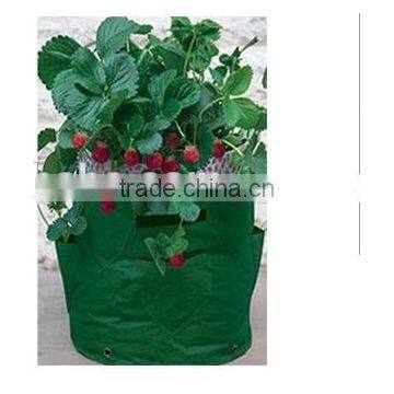 Cheap Environmental Handled Plastic Plant Grower Bags photo-2