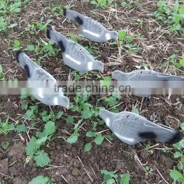 PIGEON DECOY BIRD PAINTED SHELL HIGH QUALITY photo-5