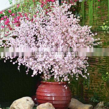 China Wholesale Silk Flower Artificial Real Touch Cherry Blossom Good Quality for Decoration photo-2