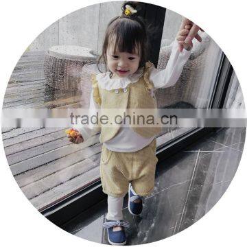 S17667A Autumn Baby Girls Clothing Sets Lovely Girls 2pcs Set photo-2