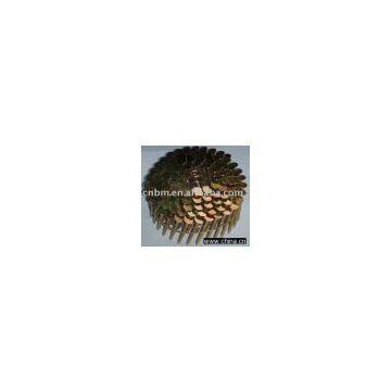 Roofing coil nail