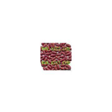Sell Dark Red Kidney Bean