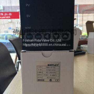 P909X Series Temperature Meter Intelligent Temperature Controller BIRTLEY photo-3