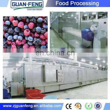 Wholesale Price IQF Freeze Tunnel Freezer Machine for Fish photo-3