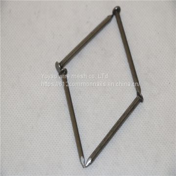 Common Iron Nail for Building Material Construction