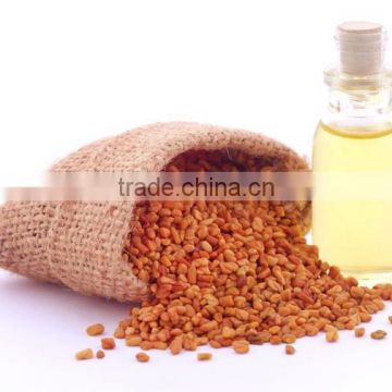 100% High Grade Fenugreek Oil Bulk Suppliers