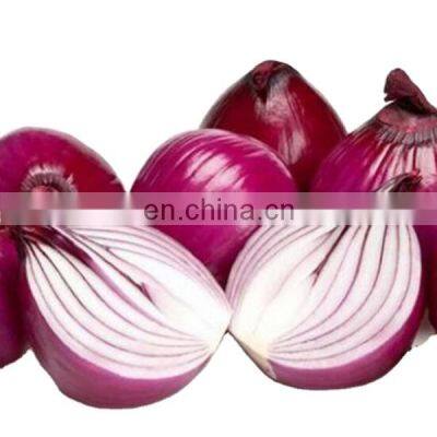 direct factory vegetables iqf frozen onion hot selling delicious quality